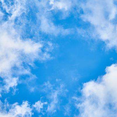 波胆app官网app下载